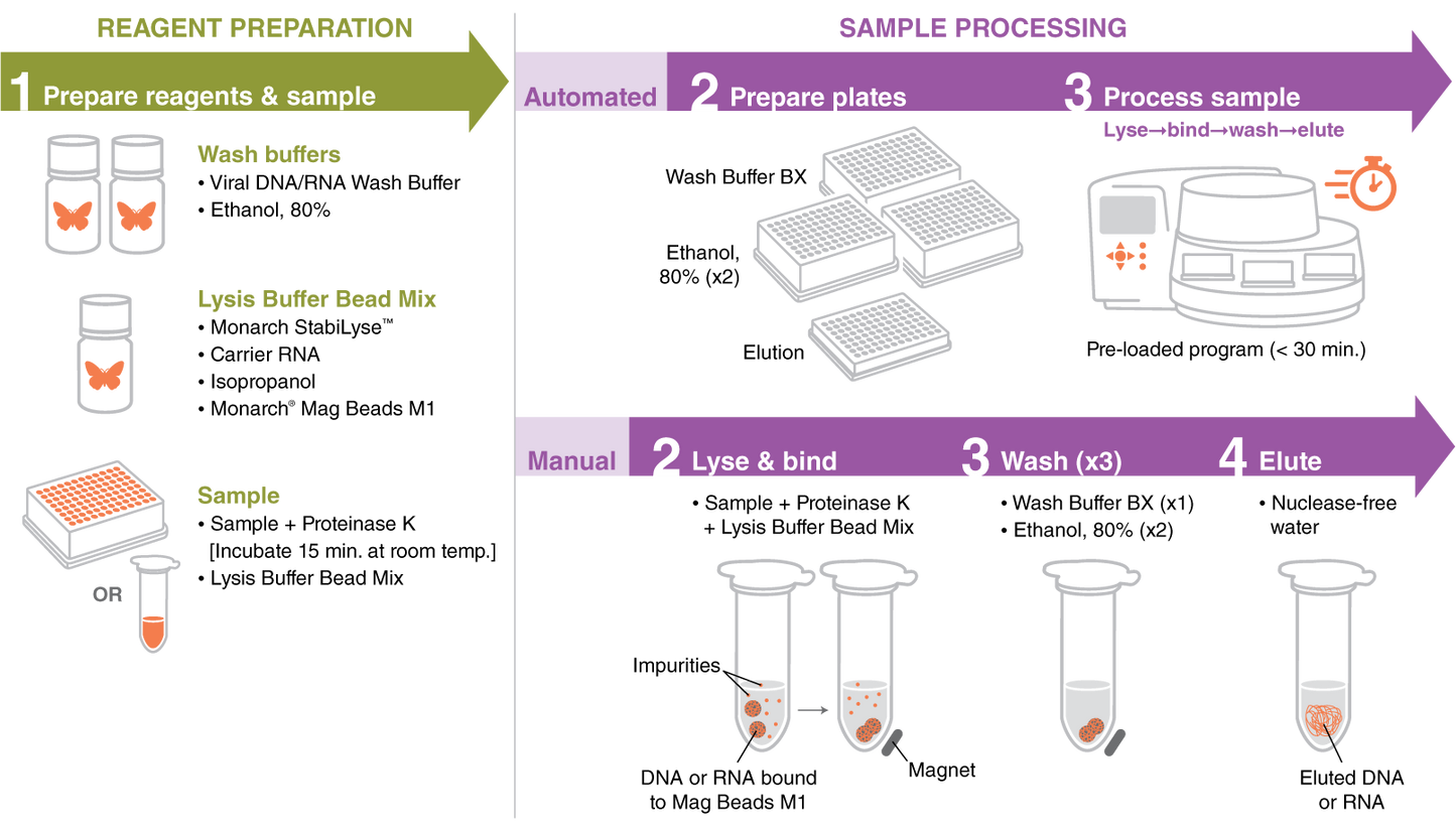 NEB Monarch® Mag Viral DNA/RNA Extraction Kit (T4010)